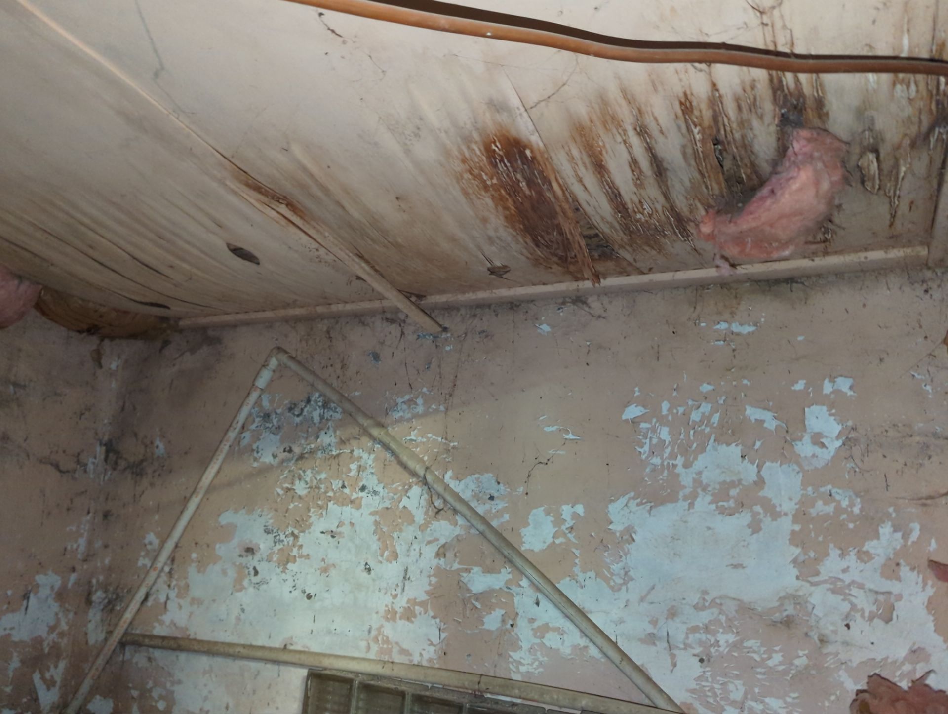 Basement Lift, Reframe, & Stairs for the Chickly Family - Photo 2