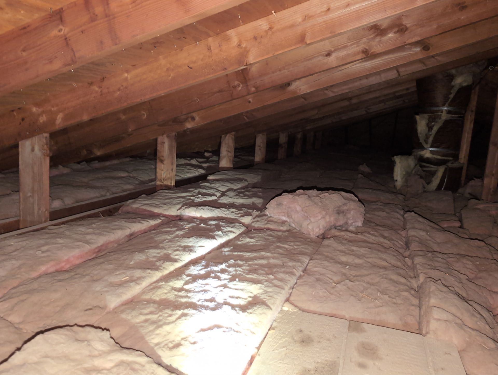 Basement Stairs & Storage for the Wells Family - Photo 5