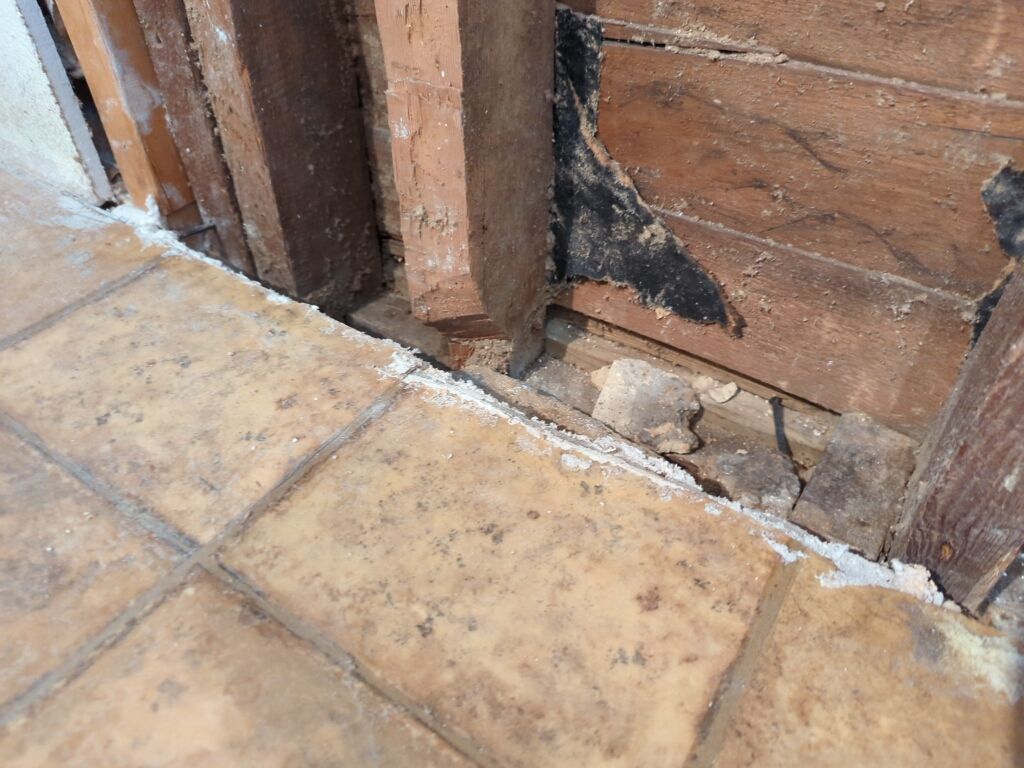 Home Addition for the Gruebler Household - Photo 3